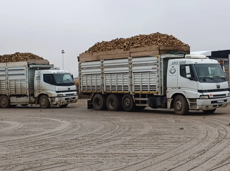 Buca Mıcır İşleri